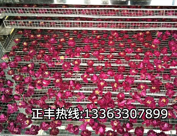 不鏽鋼玫瑰花烘烤盤